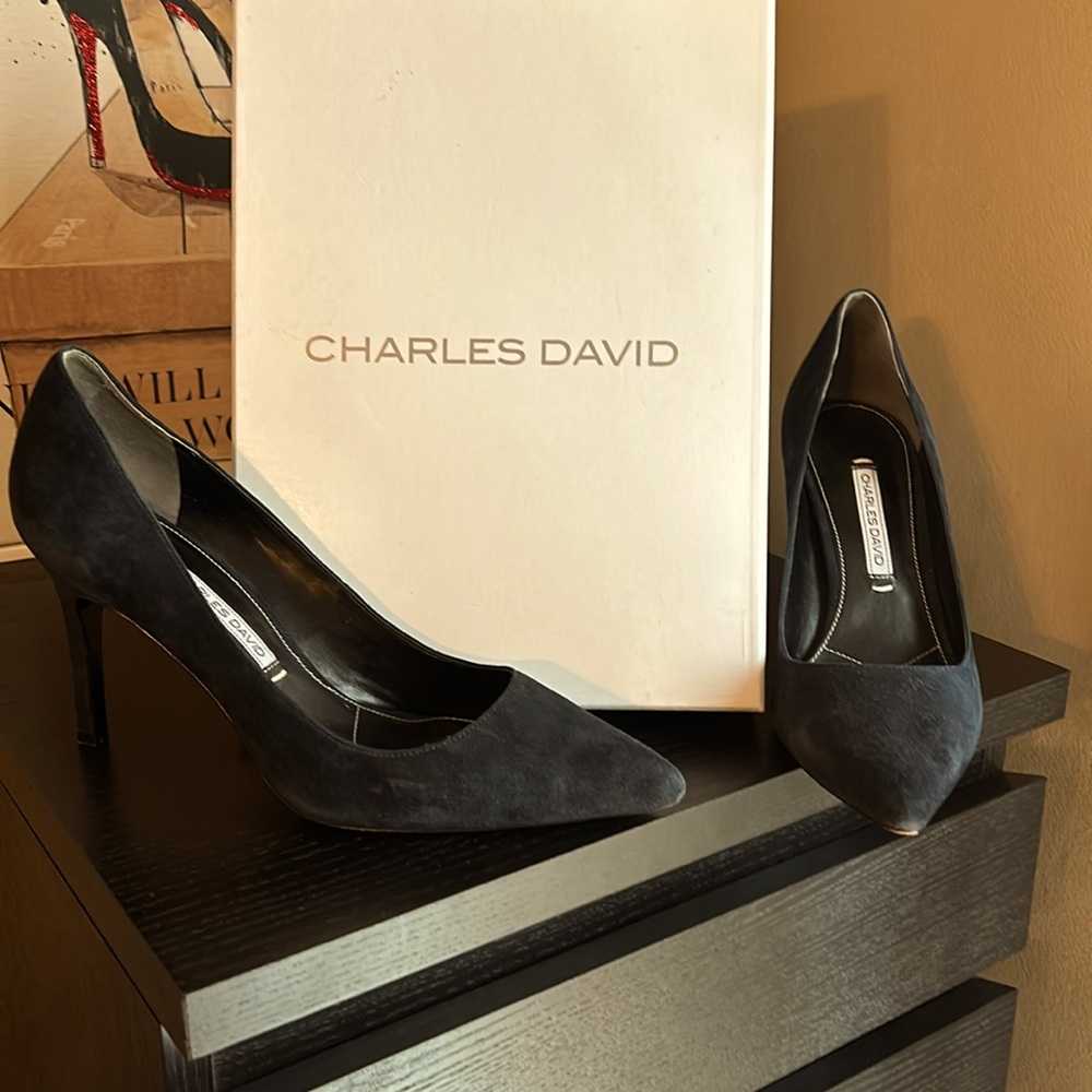 Charles David navy blue suede spike heels.